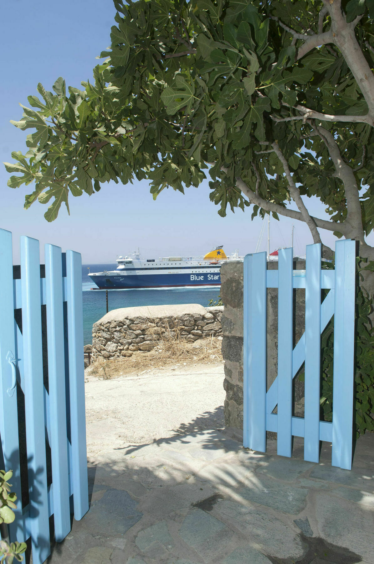 Asimina Hotel Tourlos Bagian luar foto